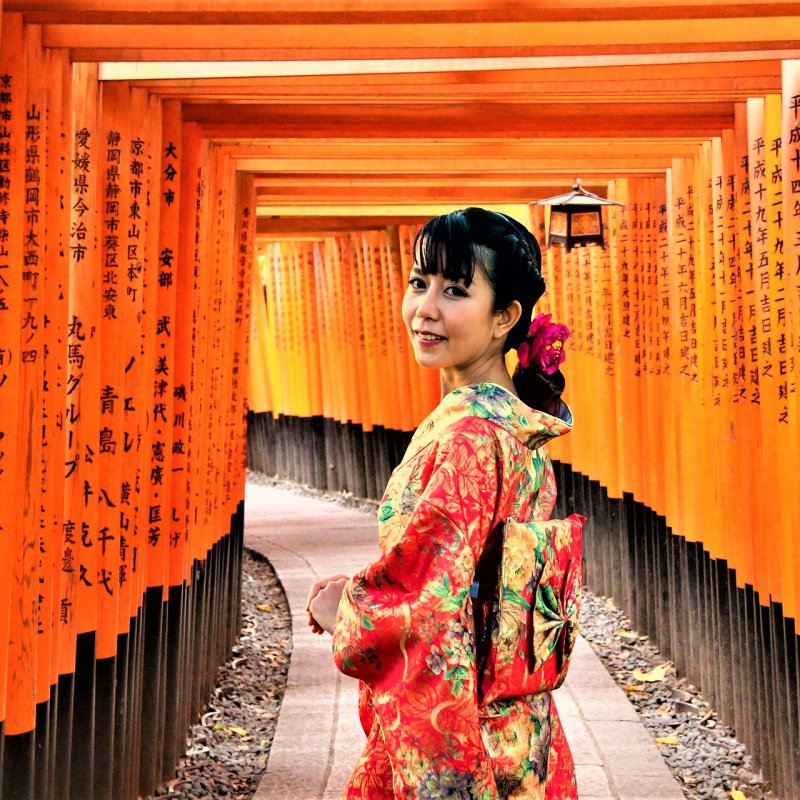 Япония в цветущей сакуре и страна утренней свежести - Южная Корея