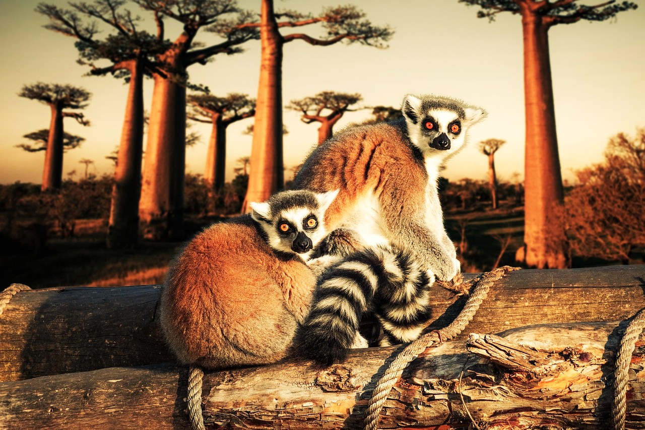 ЗАГАДОЧНЫЙ МАДАГАСКАР И ОСТРОВ МАВРИКИЙ - VIP ТУР В МИНИ ГРУППE